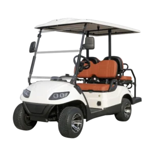 A617.2+2 golf cart